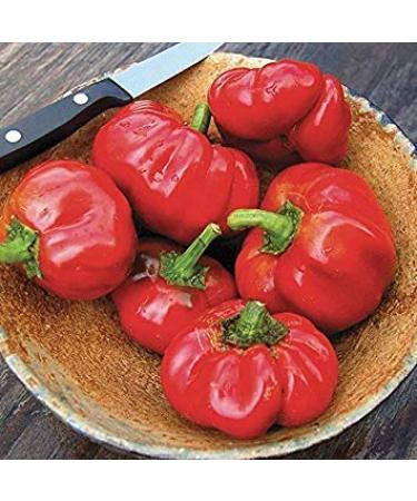 Sweet Mini Red Pepper 10 Semi