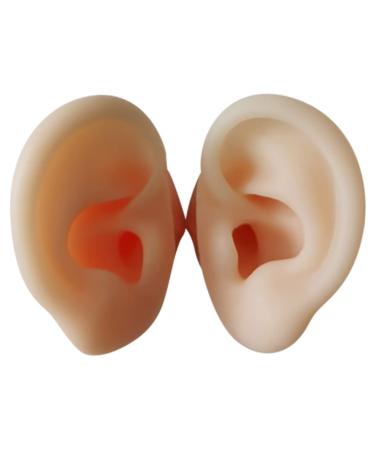 STOBOK 1 Pair Ear Picking Model Silicone Tunnels for Ears Ear Anatomy Model Anatomy Ear Model Fake Ear Artificial Display Ear Model Simulation Ear Mold Auditory Meatus Model Silica Gel