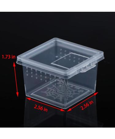10 Pcs Small Acrylic Insect Spider Terrariums Breeding Box - Ideal for Small Reptiles, Scorpions, and Centipedes - Buy Online on GoSupps.com