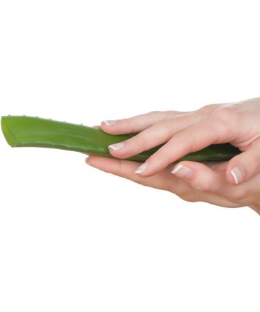 Vonderweid Father Zago Aloe Arborescens Whole Leaf Juice 500 ML - Immunostimulant Nutritional Supplement - Buy Online on GoSupps.com