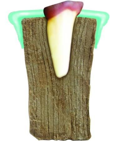 Omega Paw Solutions Dental Ring Small Green - Buy Online on GoSupps.com
