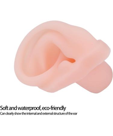 Silicone Soft Ear Model - Flexible Right Ear for Pharmacy & Hospital Display - Buy Online on GoSupps.com