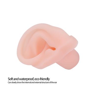 Professional Human Ear Model - Durable & Waterproof for Ear Impression Exercises - Buy Online on GoSupps.com