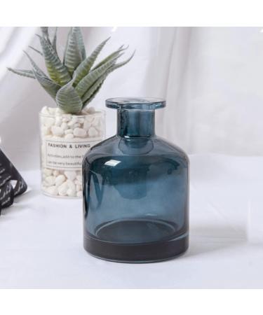 150 ml Empty Glass Diffuser Bottles for Aromatherapy | DIY Fragrance Containers & Replacement Sticks - Buy Online on GoSupps.com