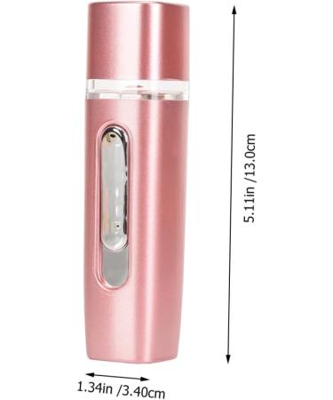 Angoily Hydrating Instrument Portable Face Steamer Face Hydrating Moisturizer Facial Mist Sprayer Handheld Steamer Face Steamer Mini Moisturizer for Face Abs Moisturizing - Buy Online on GoSupps.com