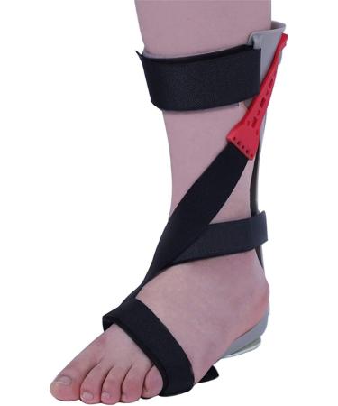 Ankle Foot Orthosis for Drop Foot - Adjustable Stabilizer Support for Flaccid Foot Drop & Dorsiflexion (Right Size L 39-41 - Buy Online on GoSupps.com
