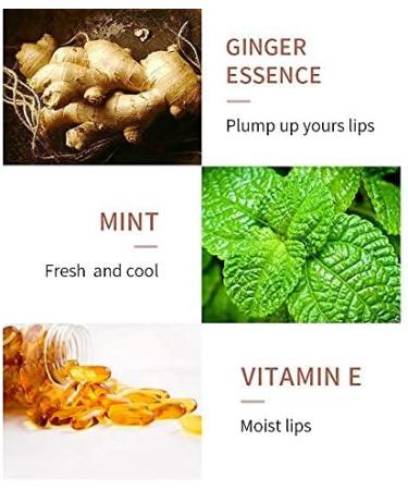 2 Pcs Lip Plumper Set Natural Makeup Plumping Lip Gloss Lip Care Serum Kit For Derol Lip Plumper Lip For Fuller Hydrated Beauty Lips (Set A) - Buy Online on GoSupps.com