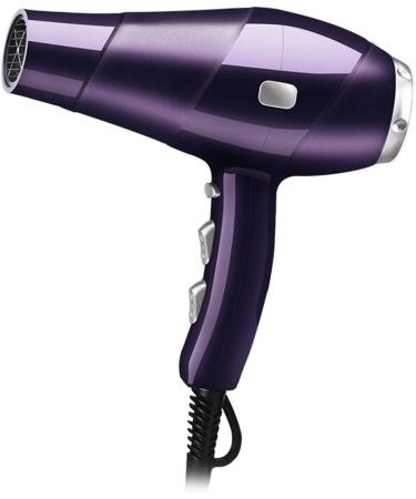 Salon Blow Dryer Professional Hair Styling Ultra 2000W Hair Dryer with 2 Concentrator Nozzle 3 Heat 2 Speed Settings Cool Shot 2.8 Metre Power Cable Constant Temperature Hair Care Anti Radiation small - Buy Online on GoSupps.com