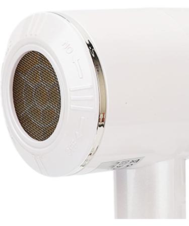 Negative Ion Hair Dryer Low Magnetic Nourishing Ionic Hair Dryer Professional High Speed 2000W for Travel (US Plug 110V) - Buy Online on GoSupps.com