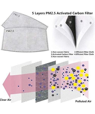 100PCS Adult Mask Filer PM2.5 Activated Carbon Filter | Replaceable 5-Layer Anti Haze Filter Paper - Buy Online on GoSupps.com