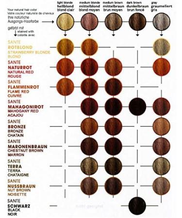 SANTE - Herbal Hair Color - Chestnut Brown - Free from peroxides & ammonia - Free from synthetic colors - Vegan - Buy Online on GoSupps.com