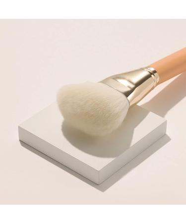 Buy THE TOOL LAB 153 Classic Face Powder Brush - Premium Quality Contouring & Blush Brush with Natural Hair Bristles for Flawless Makeup - International Shipping Available - Buy Online on GoSupps.com