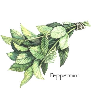 100% Soy & 100% Natural Fragrance Skin Safe Soy Wax Melt Cubes in Travel Size Gold Tin Jar 3.5 OZ (Pepppermint & Cocoa) - Buy Online on GoSupps.com