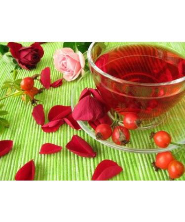 Organic Unrefined Virgin Rosehip Oil 4oz - 100% Pure Cold-Pressed Heals Skin Issues Imported from Chile - Buy Online on GoSupps.com