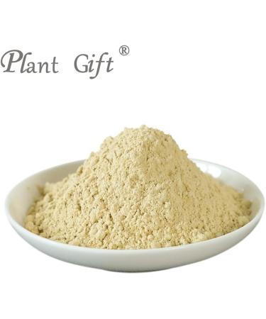 Plant Gift (2UK-PO0071) - Buy Online on GoSupps.com