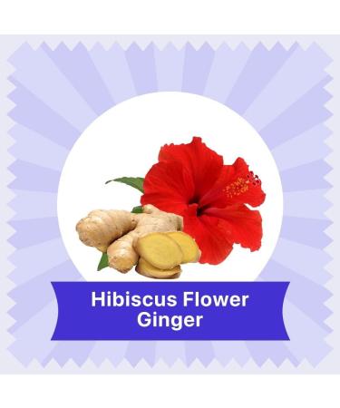 BLUE TEA - Hibiscus Ginger Herbal Tea - 60 Tea Bags || CAFFEINE FREE || Hibiscus - Ginger | Detox - Soothing | Vegan - Gluten Free - Non-GMO | Eco-Conscious Ziplock Pouch - Buy Online on GoSupps.com