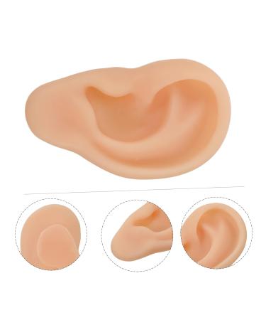 FOMIYES Silicone Ear Practice Model - Realistic Fake Ears for Teaching & Medical Training | Ideal for Simulated Ear Practice - Buy Online on GoSupps.com