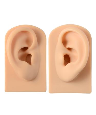 KTROK 1set Silicone Acupuncture Ear Model Simulation Artificial Ear Model Reused Ear Displays Mould for Science Class Anatomic Office Science Study Skin Tone