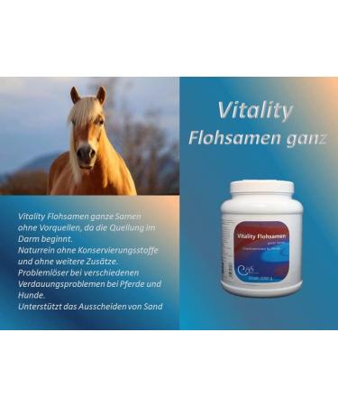 Vitality fleas Seeds all Digestion 1000g Horse sand ausscheidung feces - Buy Online on GoSupps.com