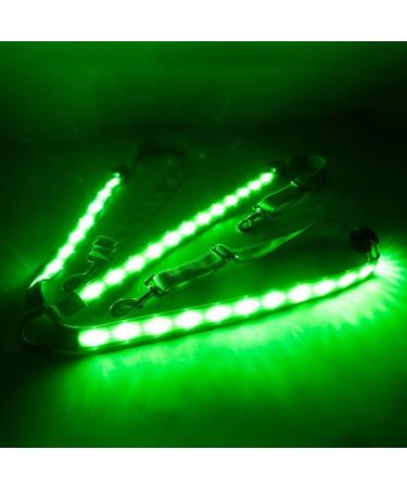 Bweele LED Horse Harness - Illuminated Chest Strap for Equestrian Sports | Red & Green Light Options for Night Riding - Buy Online on GoSupps.com