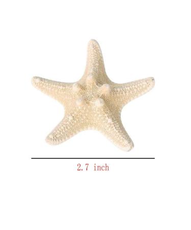 Set of 4 Starfish Resin Hair Clips - Beach Sea Mermaid Accessories for Women & Girls - Buy Online on GoSupps.com
