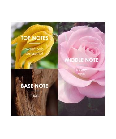 24K PRO Burgundy/Nude Rose Eau de Parfum 100ml Long-lasting Fragrance for Women (yellow) - Buy Online on GoSupps.com