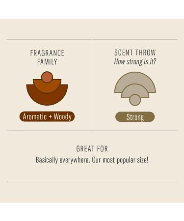 Buy P.F. Candle Co. Golden Coast Scented Soy Wax Candle - 7.2 oz | 40-50 Hour Burn Time - International Shipping Available - Buy Online on GoSupps.com