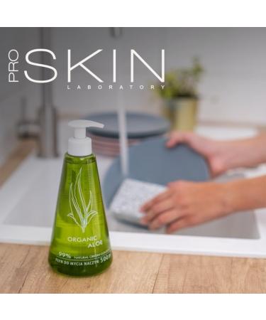 Riner 500ml Aloe Extract Dishwashing Detergent - Skin-Friendly Natural Ingredients - 1-Pack - Buy Online on GoSupps.com