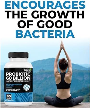 Renew Actives Probiotic Supplement for Digestive Health 60 Billion CFU per 2 Capsules - Advanced Formula with Prebiotic Benefits - Supports Gut Flora Balance & Wellness - Made in Canada - 60 Capsules - Buy Online on GoSupps.com