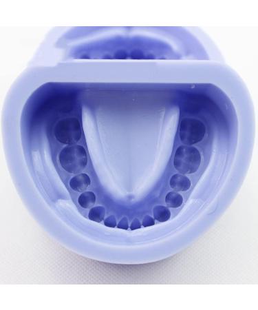 2pcs Dental Plaster Model Mold - Complete Cavity Block for Professional Dental Supplies | International Shipping Available - Buy Online on GoSupps.com