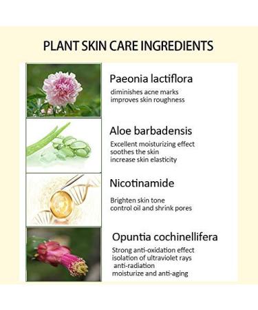 YINGMO Mushroom Head Air Cushion BB Cream | Natrual CC Liquid Foundation | Moisturizing Concealer | Long Lasting | Natural Beige - Buy Online on GoSupps.com