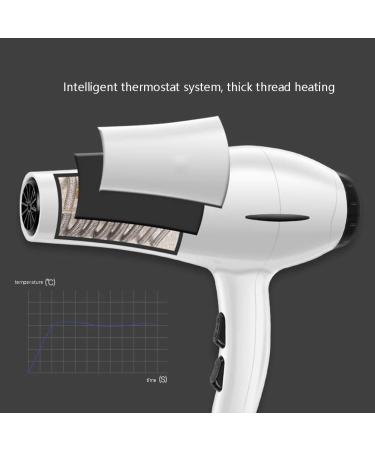 JYYBN Hair Dryer Professional Hair Dryer AC Motor 1800W Negative Ionic Hairdryer with 3 Heat 2 Speed Settings for Home & Salon Fast Drying Blow Dryer Protect Hair - Buy Online on GoSupps.com