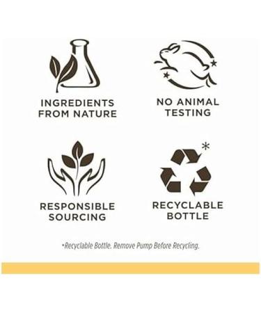 Burt's Bees Baby Calming Shampoo & Body Wash - Tear-Free, Paediatrician-Tested - 236.5 ml - Pack of 1 - Buy Online on GoSupps.com