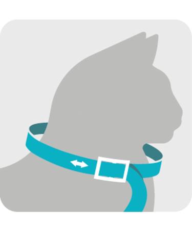 Sergeant's Guardian Flea & Tick Cat Collar - 1 Count | Long-lasting Protection - Buy Online on GoSupps.com