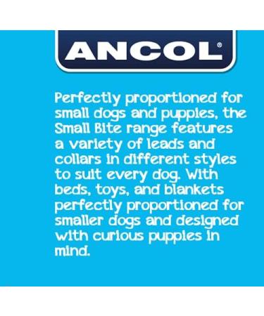 Anol Small Bite Vinyl 6 Ball Assorted 4.5 cm - Clear | Pet Toy - Buy Online on GoSupps.com