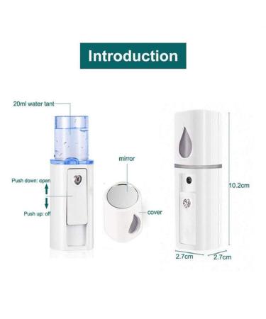 Nano Mist Sprayer - USB Rechargeable Handheld Facial Beauty Device with Large Water Tank - Ultrasonic Moisturizing Mini Mister - L2Pink - Buy Online on GoSupps.com