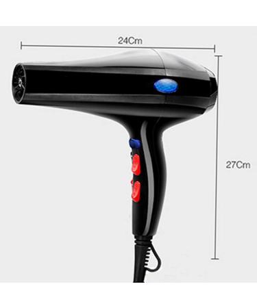 Professional Ionic Hair Dryer Salon Lightweight Professional Power 2200 watts Hair Dryer That Heats Well with a Sufficient Airflow to Fast Drying Time and Low Noise Fast Airflow Concentrator small - Buy Online on GoSupps.com