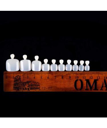 Mwoot 500 Piece Set of Natural Artificial Toenail Tips - DIY Fake Toenails in 10 Sizes | Perfect for Beautiful Toes - Buy Online on GoSupps.com