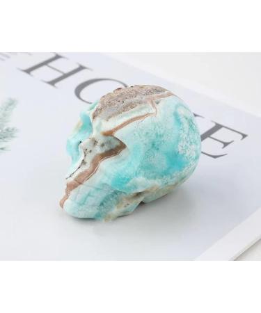 Heteropolar Caribbean Stone Skull Healing Crystal Quratz Hand Carved Human Skull Pocket Statue Figurine Decor Energy Reiki Gemstone Collectible Figurine (Heteropolar Caribbean Stone- Skull) - Buy Online on GoSupps.com