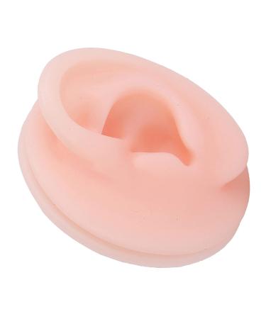 Flexible Model Rubber Ear for Education - Transparent Silicone Simulation for Audio Music Recording Teaching - Buy Online on GoSupps.com