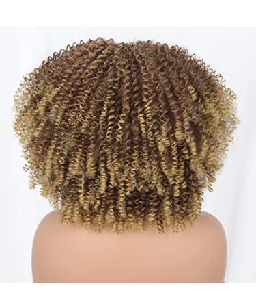Nnzes Afro Short Curly Wig - Brown to Blonde Kinky Curly Fluffy Wig for Black Women 12inch - Synthetic Hair Full Wigs for Daily Wear - Buy Online on GoSupps.com