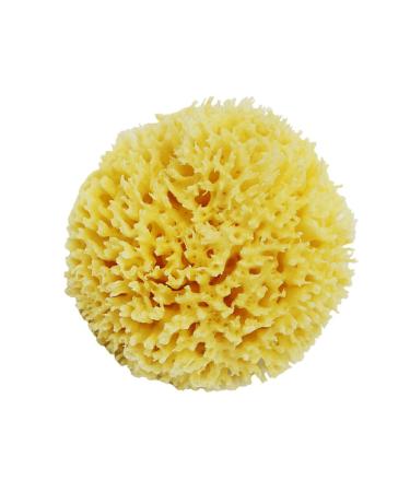 AUklOPVZZ Greek Sponge for Bathing Soft and Durable for Long Time Natural Sea Sponges for Bathing Honeycombs Natural Sea Sponge