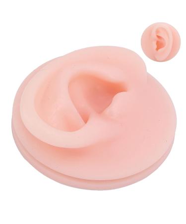 Flexible Model Rubber Ear for Education - Transparent Silicone Simulation for Audio Music Recording Teaching - Buy Online on GoSupps.com