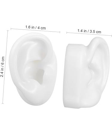 10 Pairs Artificial Ear Models for Display - Simulation Ear Mold & Teaching Tool - Realistic Fake Ears for Science Education - Buy Online on GoSupps.com