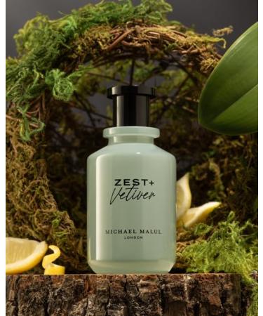 Michael Malul Zest + Vetiver Eau de Parfum for Men - 100ml | 3.4oz 1 Count (Pack of 1) - Buy Online on GoSupps.com