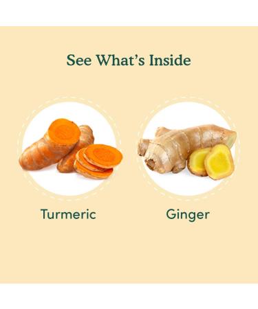 VAHDAM Organic Turmeric Ginger Herbal Tea - 100 Tea Bags | Powerful Superfood with Real Turmeric & Ginger Powder | Caffeine-Free - Buy Online on GoSupps.com