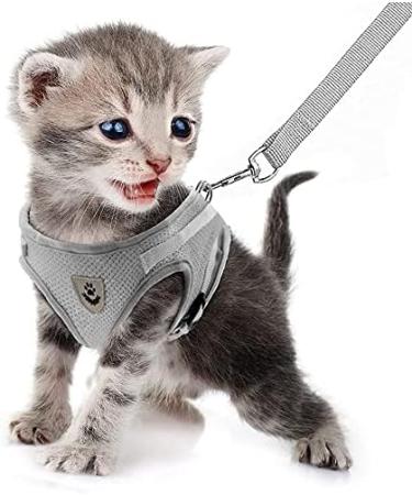 Femax Dog Harness & Linen Set - Soft Mesh Padded Reflective Adjustable Breathable for Dogs & Cats | Perfect for Walking Running Training | Size M (35-40 cm) - Gray - Buy Online on GoSupps.com