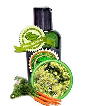 HIGH ALTITUDE NATURALS Carrot Seed Oil - Virgin Cold-pressed - Skin Nourishing Anti-aging Skin Carotenoids - 2 fl oz