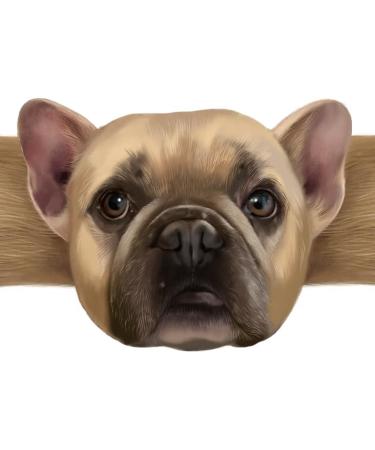 Hugging Paws Dog Bandages - Unique Rescue Dog Designs | 24 Ct | Perfect Gift for Dog Lovers - Hug-a-BooBoo - Buy Online on GoSupps.com