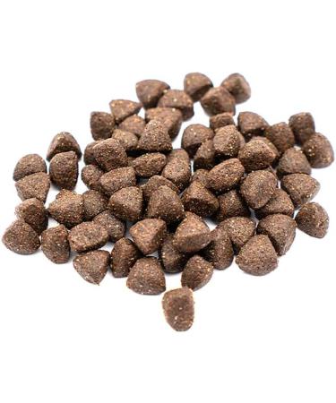 BREEDNA - Adult Premium 3kg | Dry Food for Adult Dogs with Dehydrated Chicken | with 80% Animal Protein and Omega 3 and 6 Fatty Acids | Ideal for Medium/High Physical Activity - Buy Online on GoSupps.com